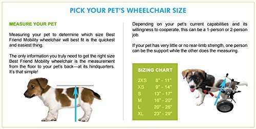 best dog wheelchair review